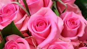 free flowers samples photo 4