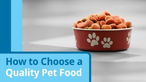 free pet food samples foto 3