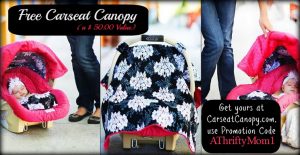 Free Baby Carseat Canopy