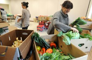 Volunteer Annette Tomasello, right, sorts produce in boxes for a produce giveaway at Peace Neighborhood Center in Ann Arbor on Friday, Sept. 30, 2011. This is the center's fourth week of having produce giveaways. (AP Photo/AnnArbor.com, Angela J. Cesere)