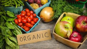 Free Organic Baby Food 6