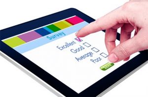 Free Surveys For Money