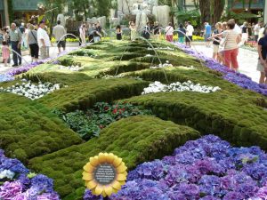 free-things-to-do-near-me