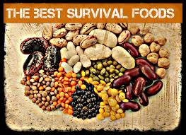 Free Survival Foods 3